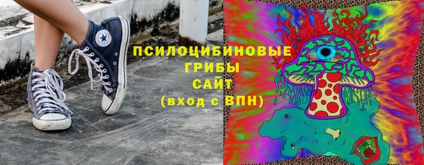 амф Аркадак