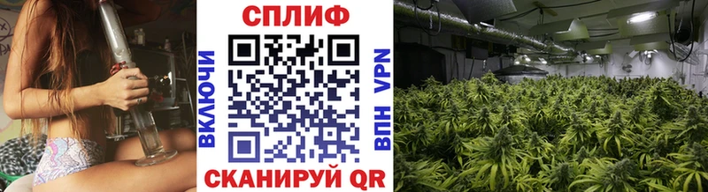 Бошки Шишки сатива Петушки